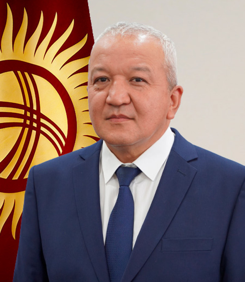 Директор Кыргызской геологической службы