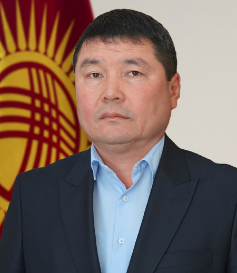 Мамлекеттик экологиялык экспертиза башкармалыктын жетекчиси