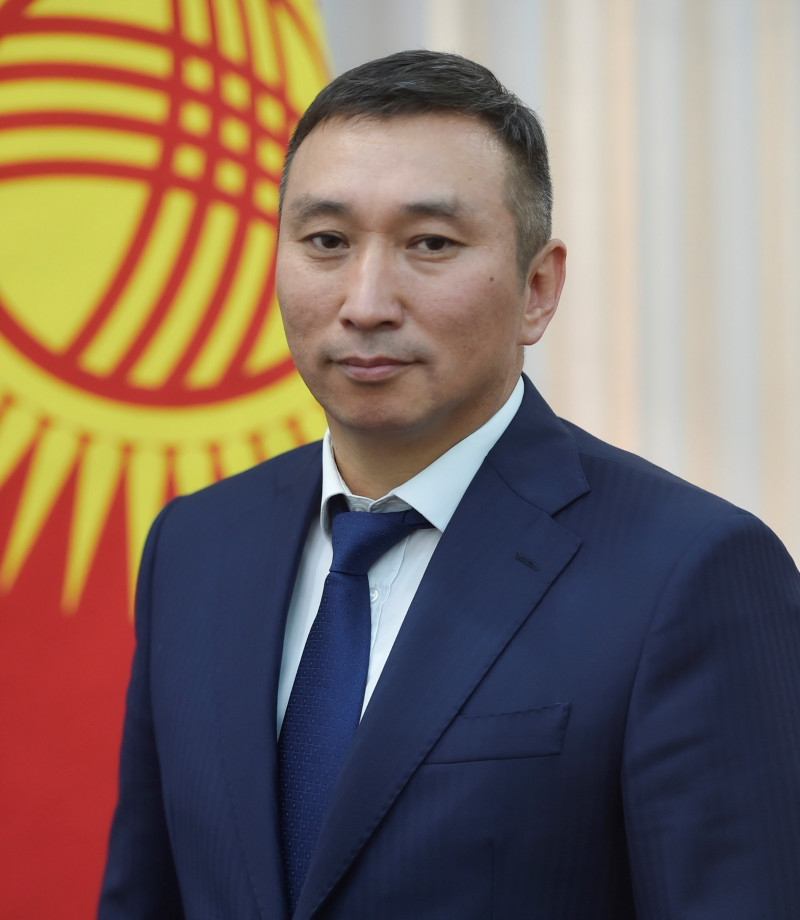 Директор кыргызской геологической службы