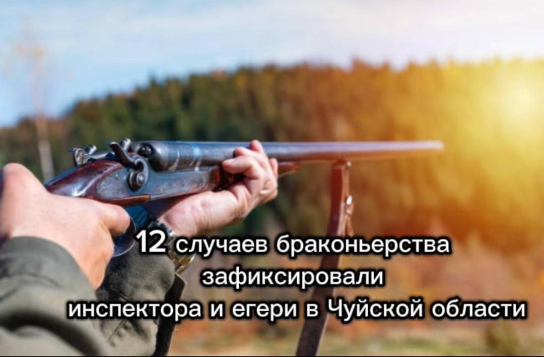 Чүй облусунда 12 браконьерлик учурун инспекторлор жана егерлер катташты