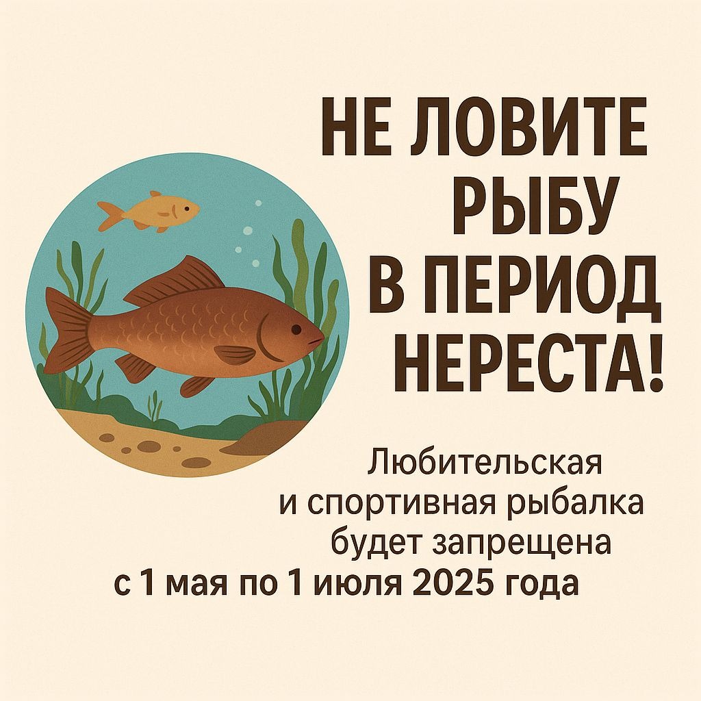 2025-жылы балык урук чачуу мезгилинде спорттук балык уулоого тыюу салынат