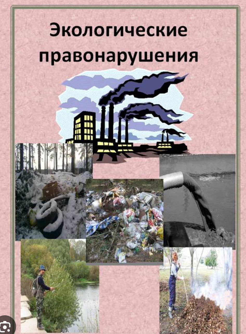 Жаратылыш министрлиги: Өлкө боюнча май майрамдарында 61 экологиялык мыйзам бузуу фактылары аныкталды