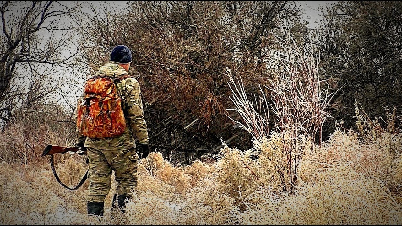 Юридикалык жактар үчүн мергенчилик чарбасын жүргүзүүгө укук берүү боюнча конкурс жарыяланды