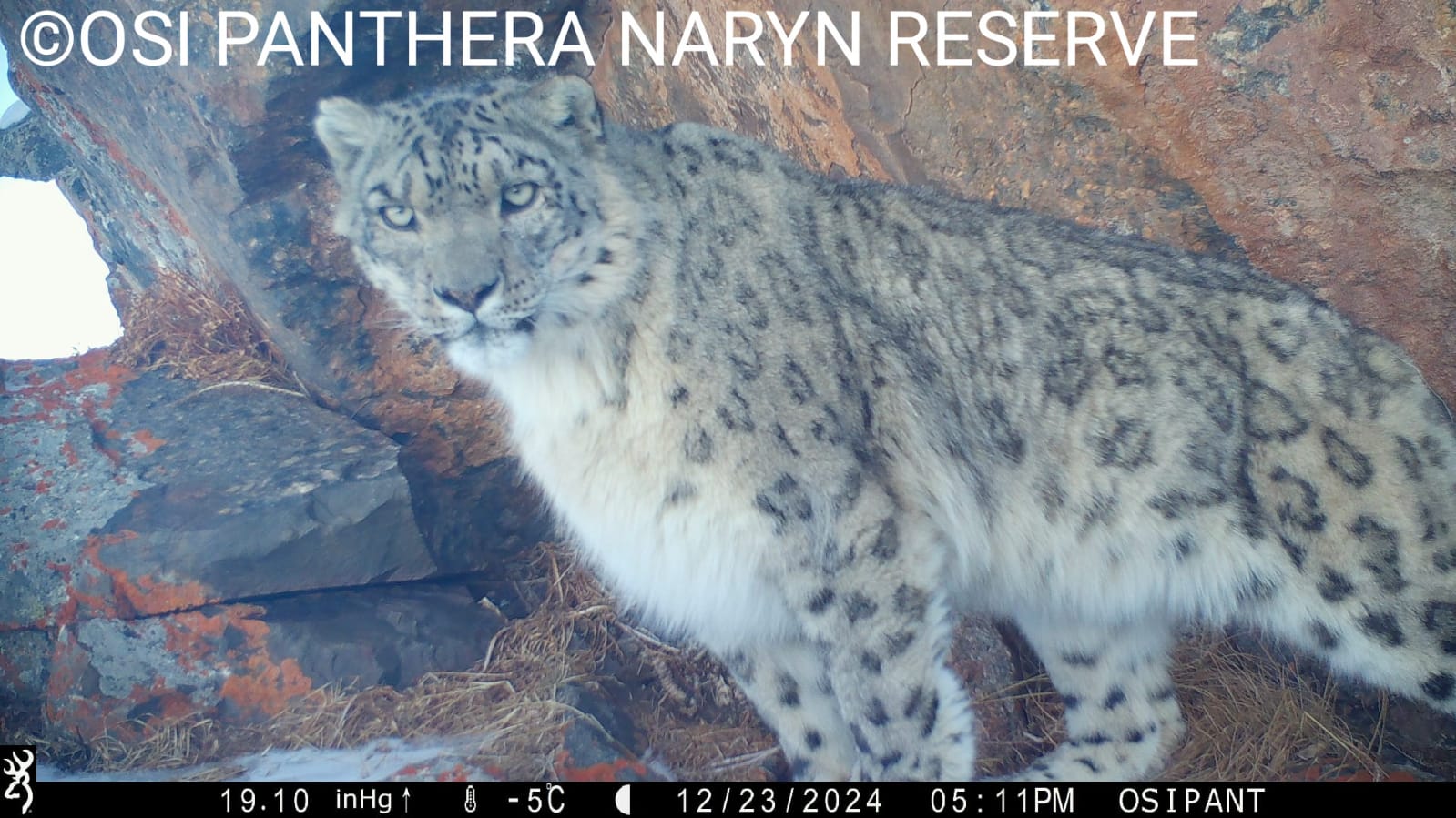 Нарын мамлекеттик жаратылыш коругунда 10 күндүк эковолонтердук экспедиция өттү