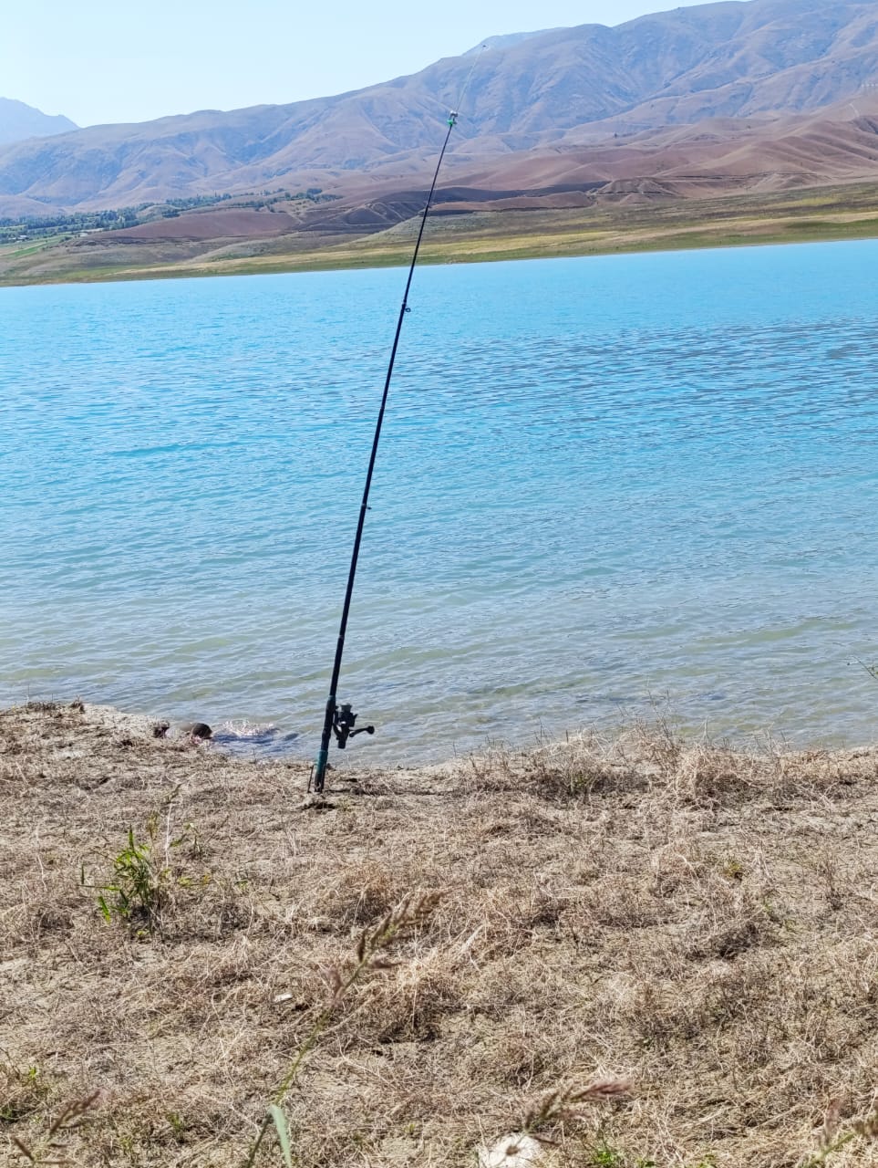 Чаткал жана Токтогул райондорунда мыйзамсыз балык уулоочулар кармалды