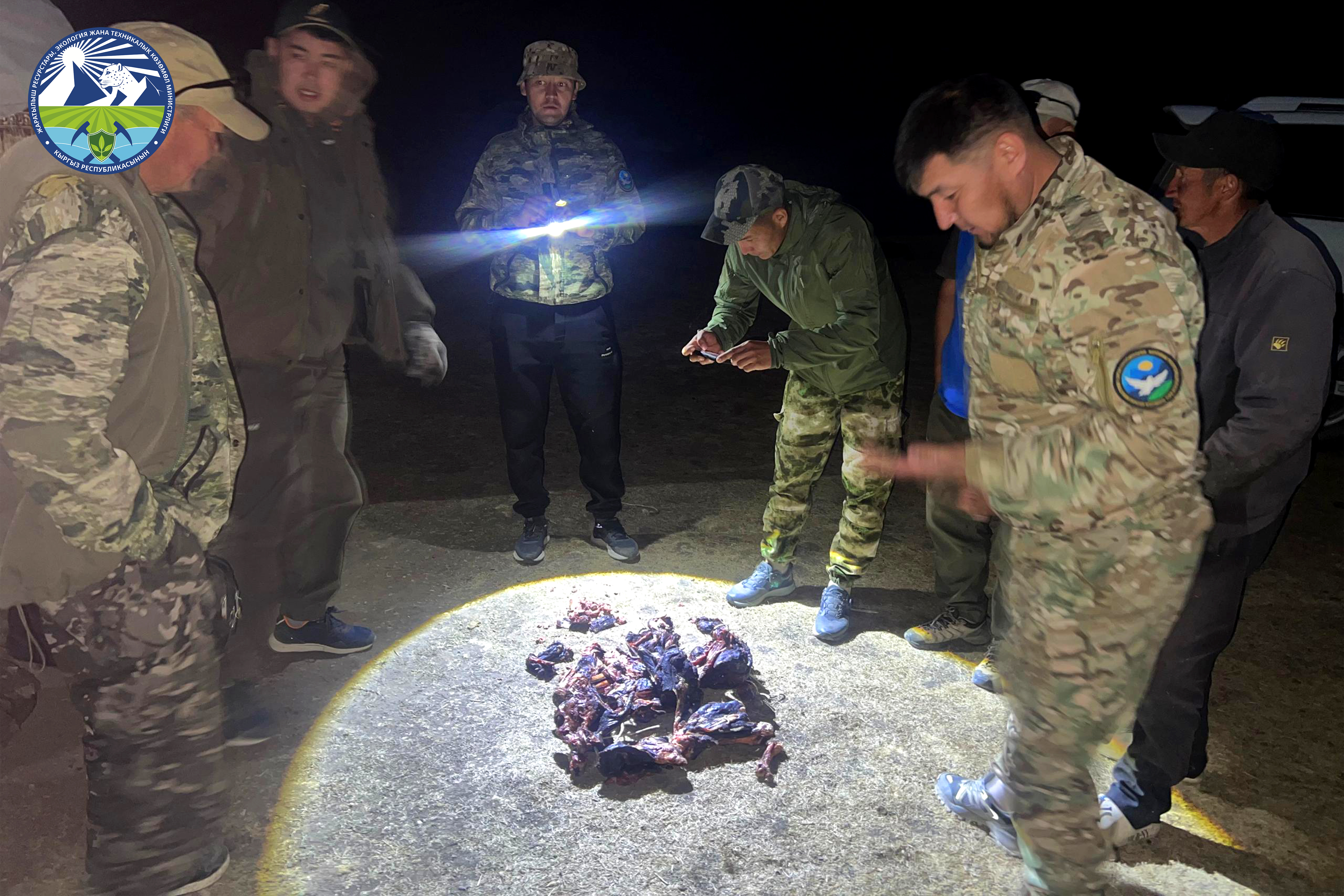 Нарын облусунда мыйзамсыз аңчылык жана чөп казуу фактылары аныкталды