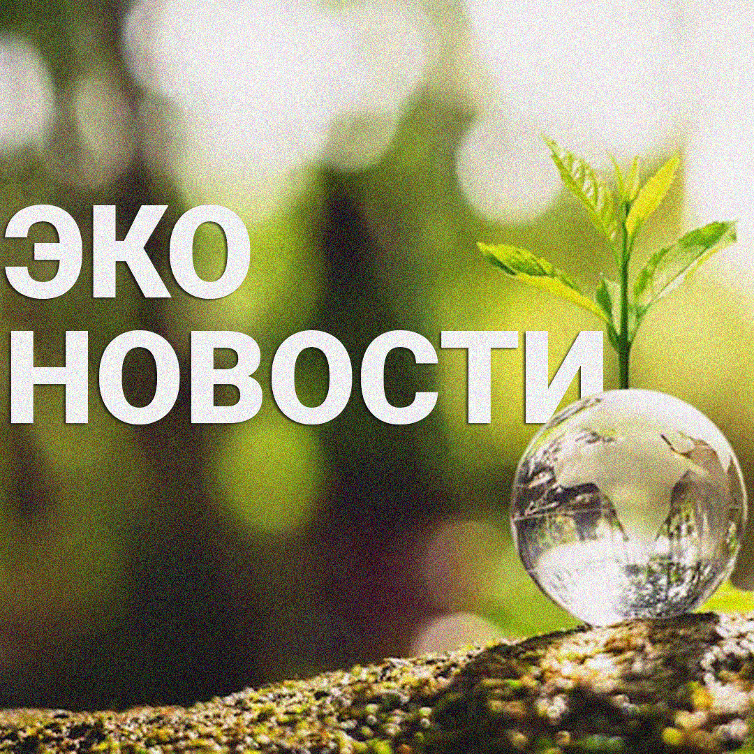 Америкалык SunTrain стартапы поезддерди чоң аккумуляторлорго айландырууну сунуштайт