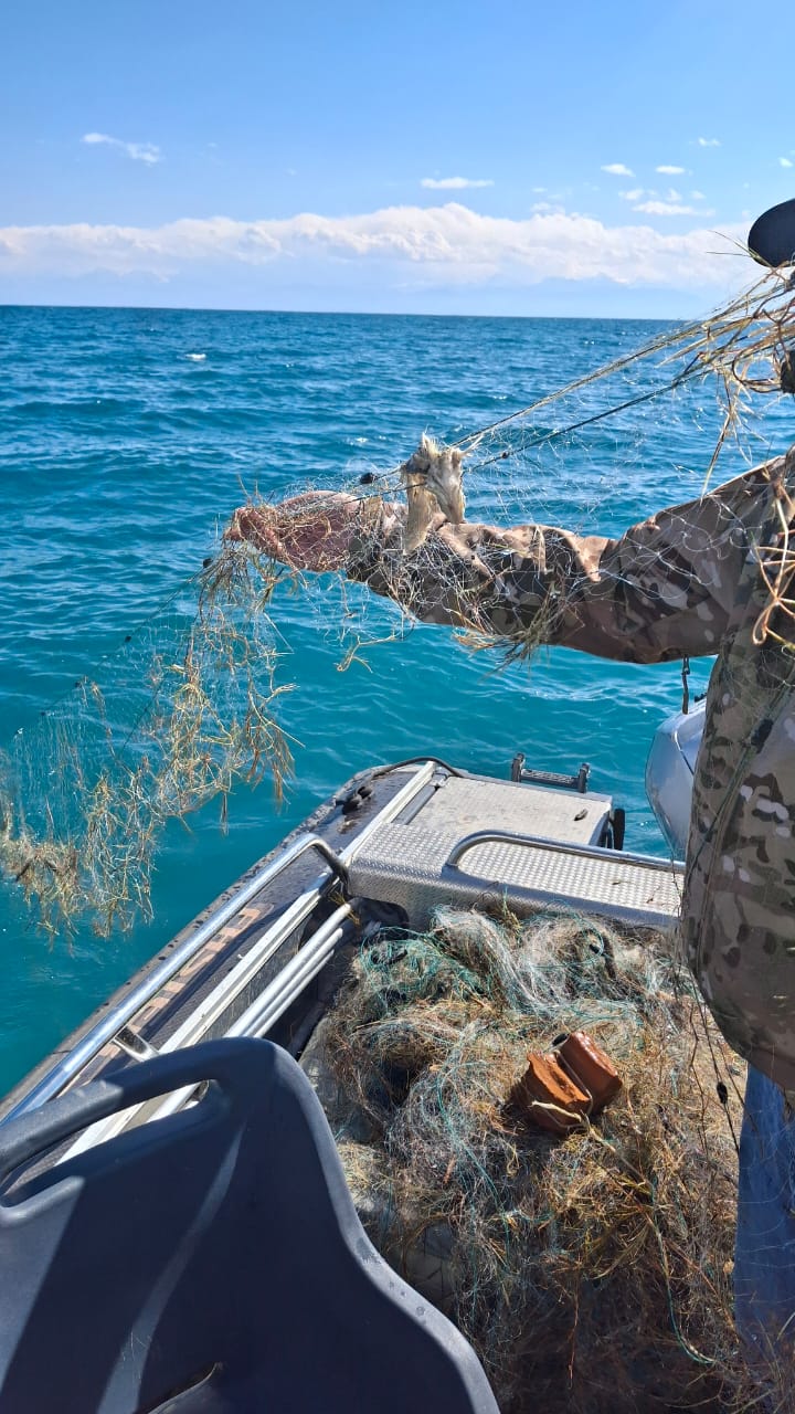 Ысык-Көл облусунда браконьерликке каршы рейддер уланууда