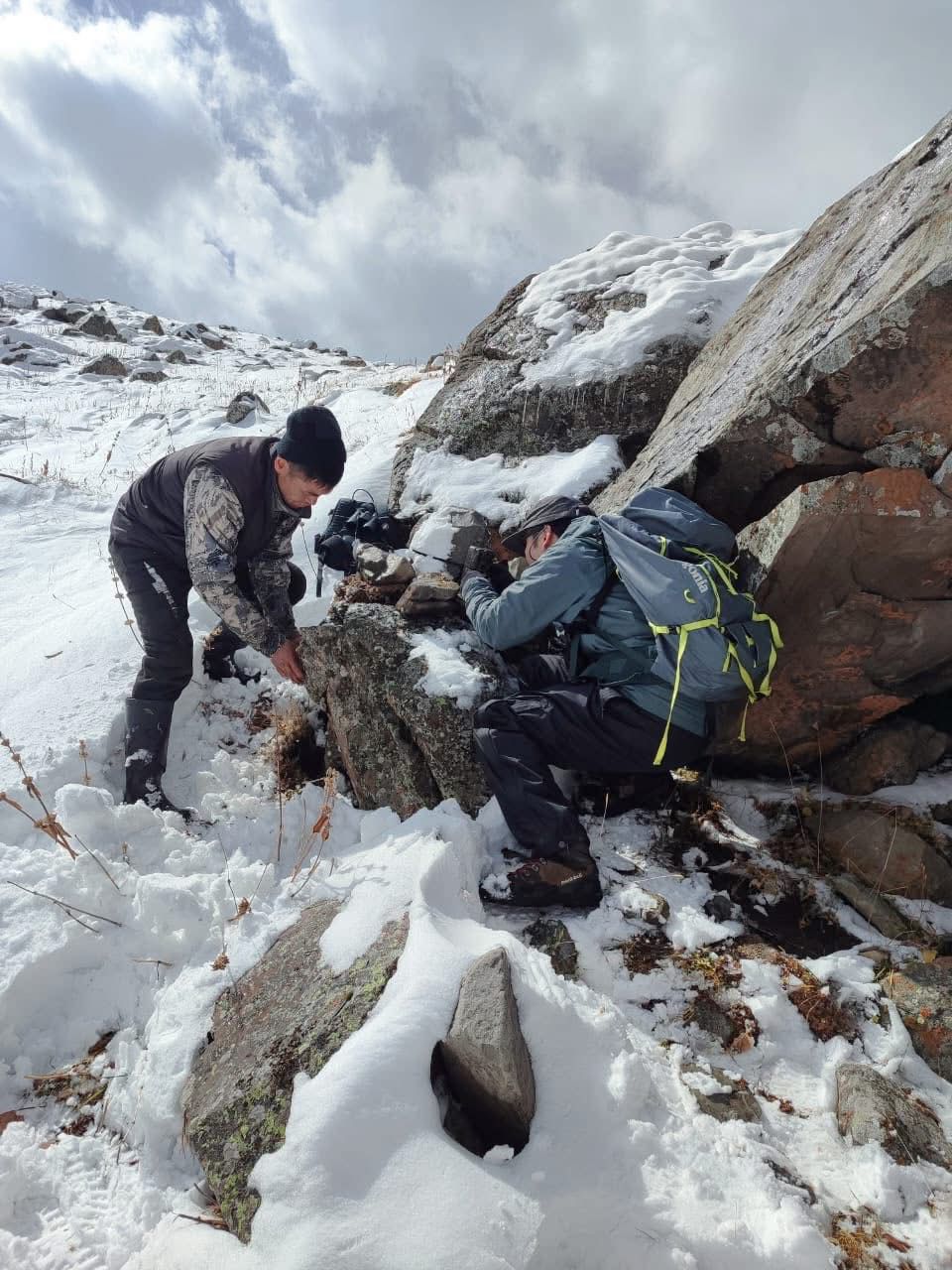 Ак илбирсти изилдөө максатында «Шамшы-Туюк» коругунда фотокапкандар орнотулду