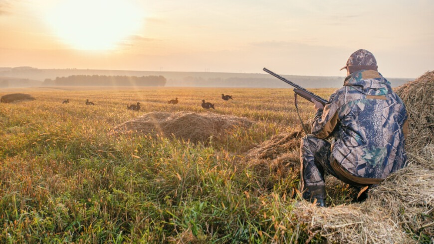 Результаты конкурса по предоставлению права ведения охотхозяйственной деятельности в Баткенской области