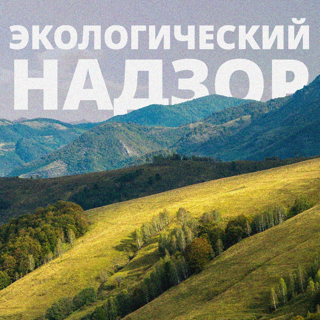 Кара-Суу районунда мыйзамсыз аң уулоо фактысы аныкталды