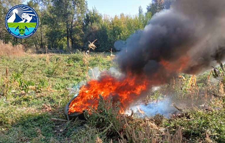 🍃О недопустимости сжигания листьев и бытовых отходов