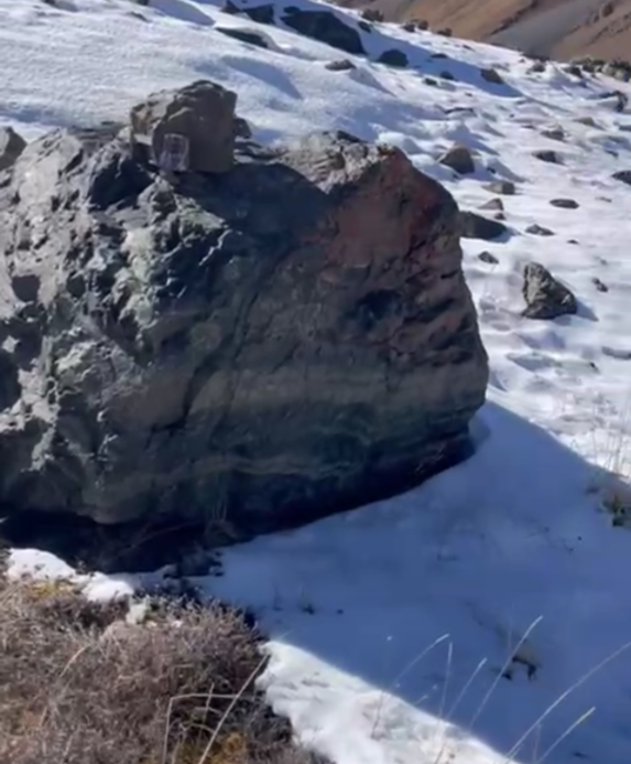 “Чоң-Кемин” мамлекеттик жаратылыш паркында фотоловушкаларга 3 илбирс жана башка жапайы жаныбарлар түшкөнү аныкталды