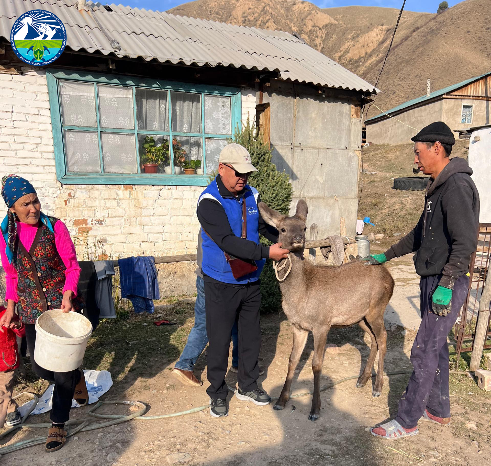 Спасение детёныша оленя, занесённого в Красную книгу