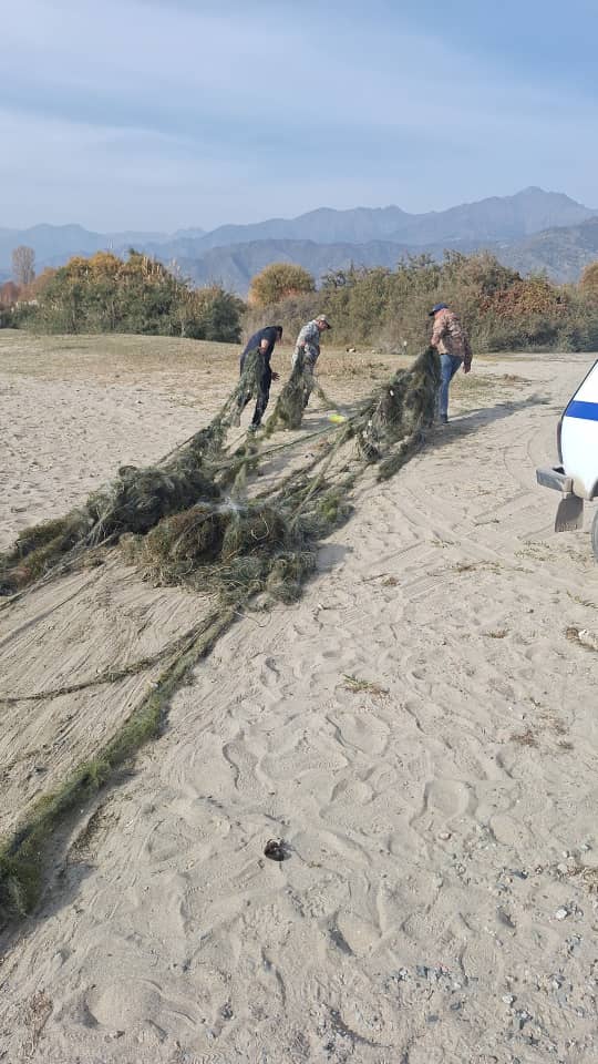 Браконьерликке каршы иштер күчөтүлүүдө