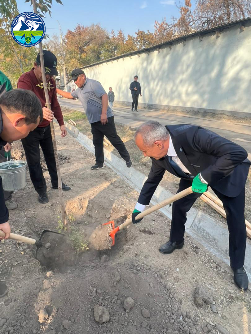 “Жашыл мурас” улуттук кампаниясынын алкагында мектеп аймагына көчөттөр отургузулду