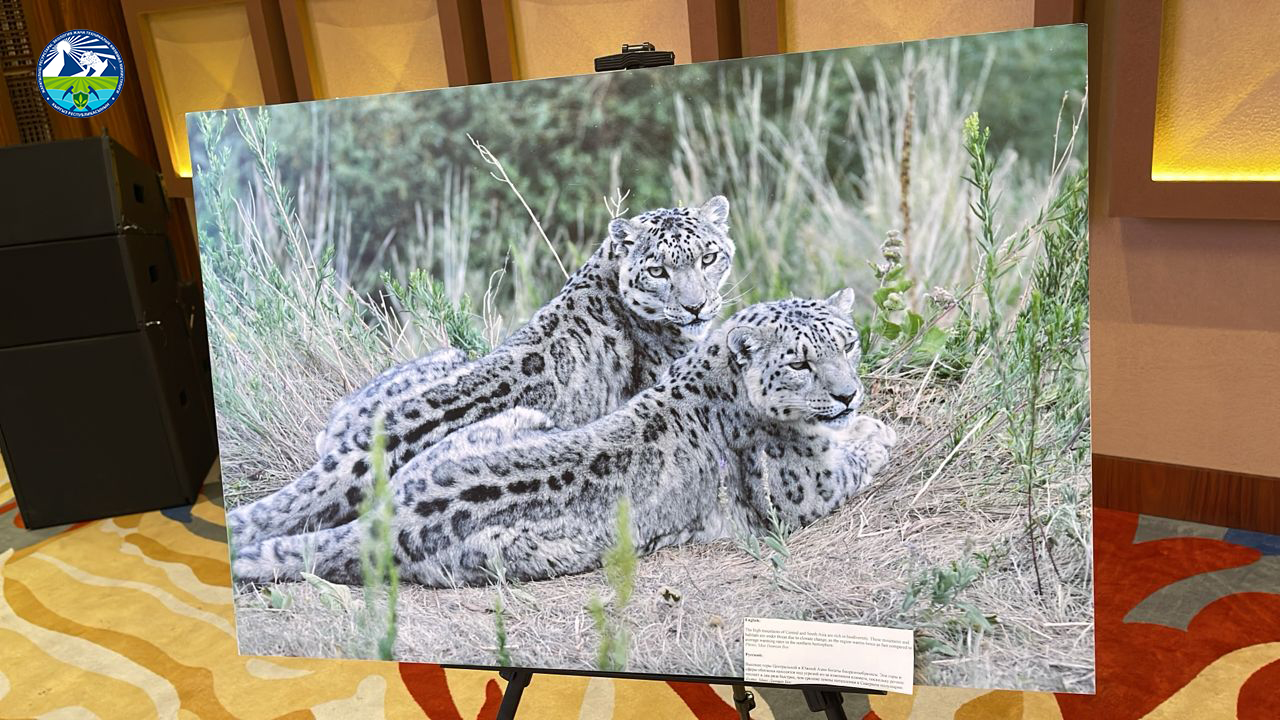 📸"Бизнес, экология жана спорт — Ак Илбирс 2025" форумунун сүрөт баяны