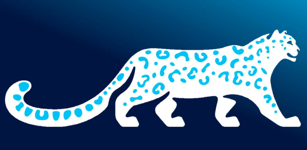 Кыргыз Республикасынын Министрлер Кабинети өлкөнүн улуттук символу – ак илбирстин логотибин жана колдонуу тартибин бекитти