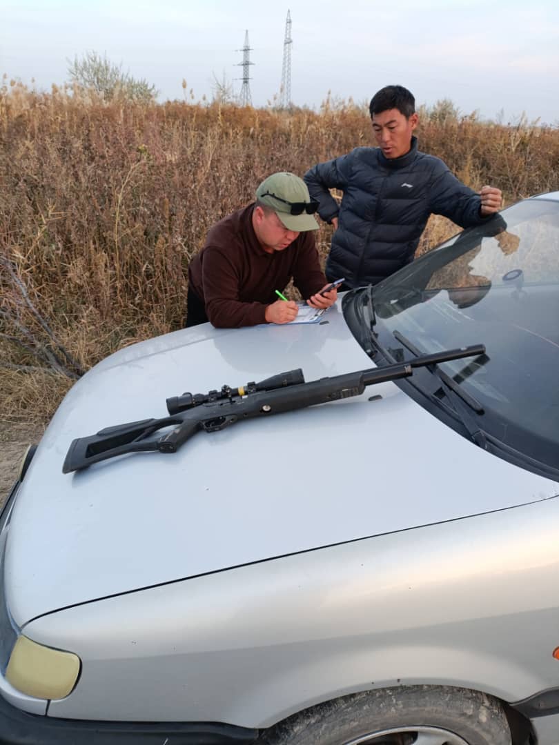 Жайыл районунда мыйзамсыз аңчылык фактысы аныкталды