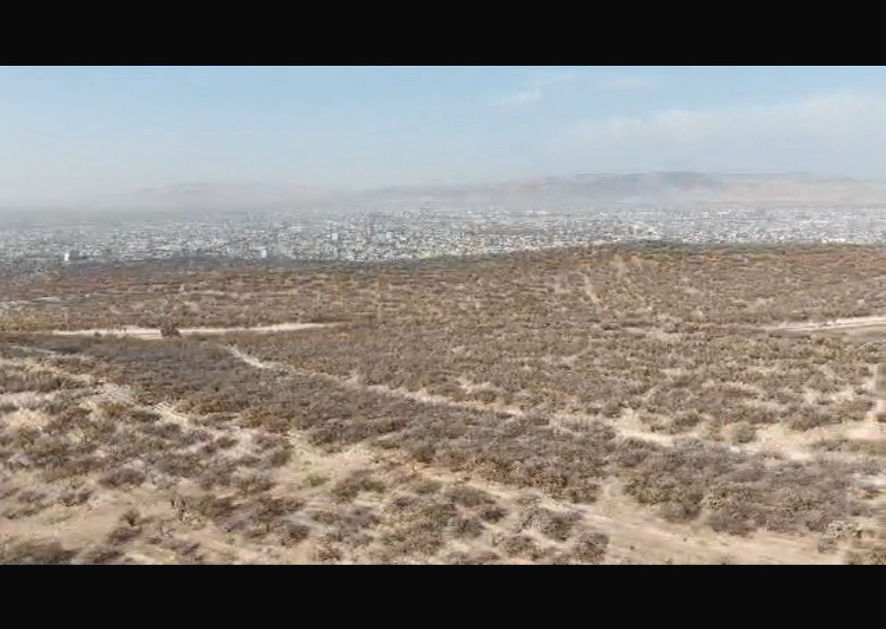 Кара-Алма токой чарбасында ишембилик өткөрүлүп, токой аймагындагы калдыктар тазаланды