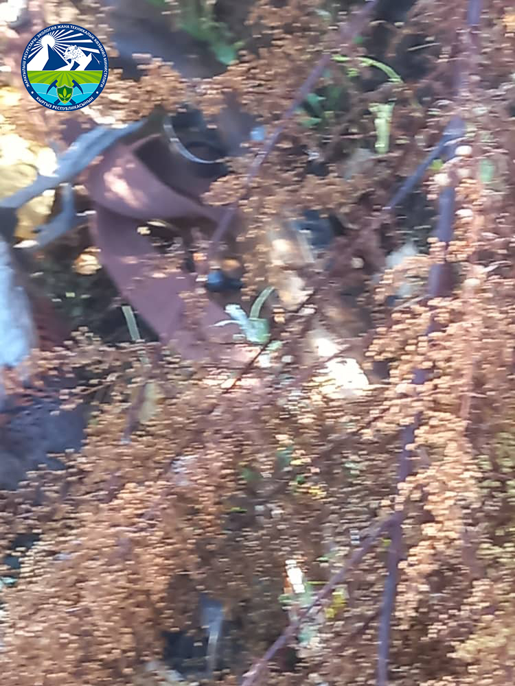 Рейдтик иш-чаралар