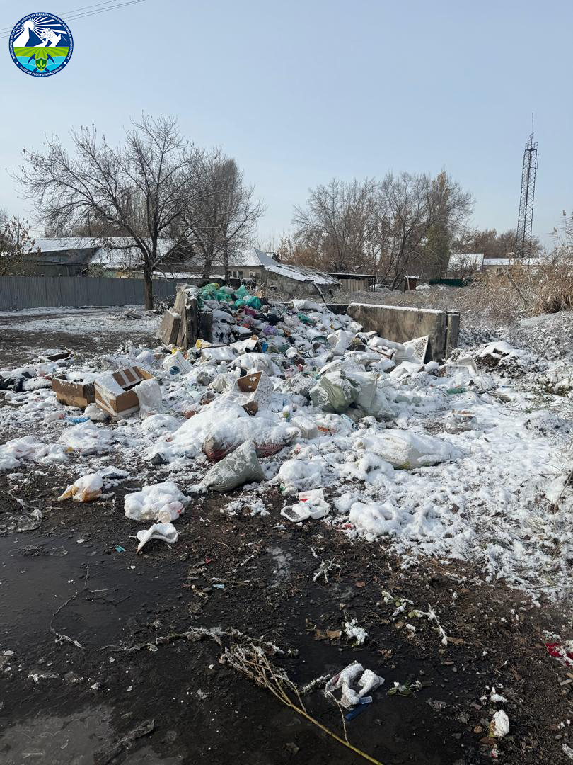 Новопокровка айылында өз алдынча пайда болгон катуу тиричиликтен чыккан таштандылар свалкасы аныкталды