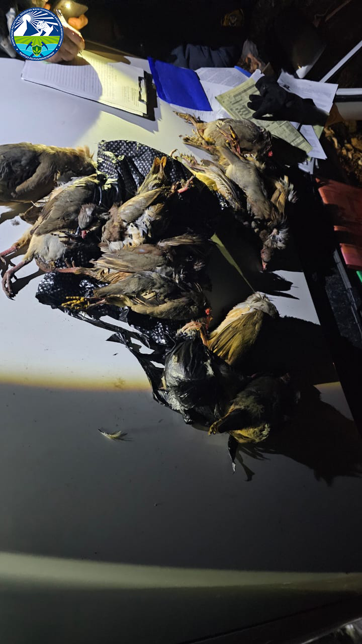 Аң уулоо эрежелерин бузган жана айлана-чөйрөгө зыян келтирген жарандарга карата мыйзамдык чаралар көрүлдү