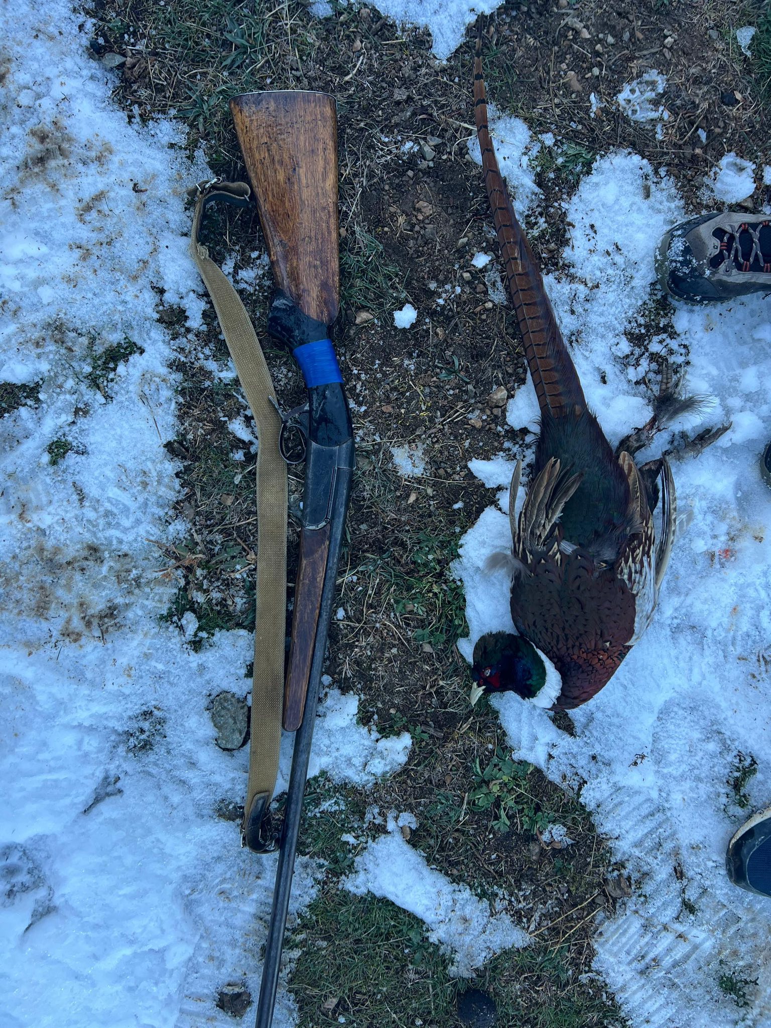 Мыйзамсыз мергенчиликке каршы — жаратылышты коргоо үчүн биргелешкен иш-аракеттер