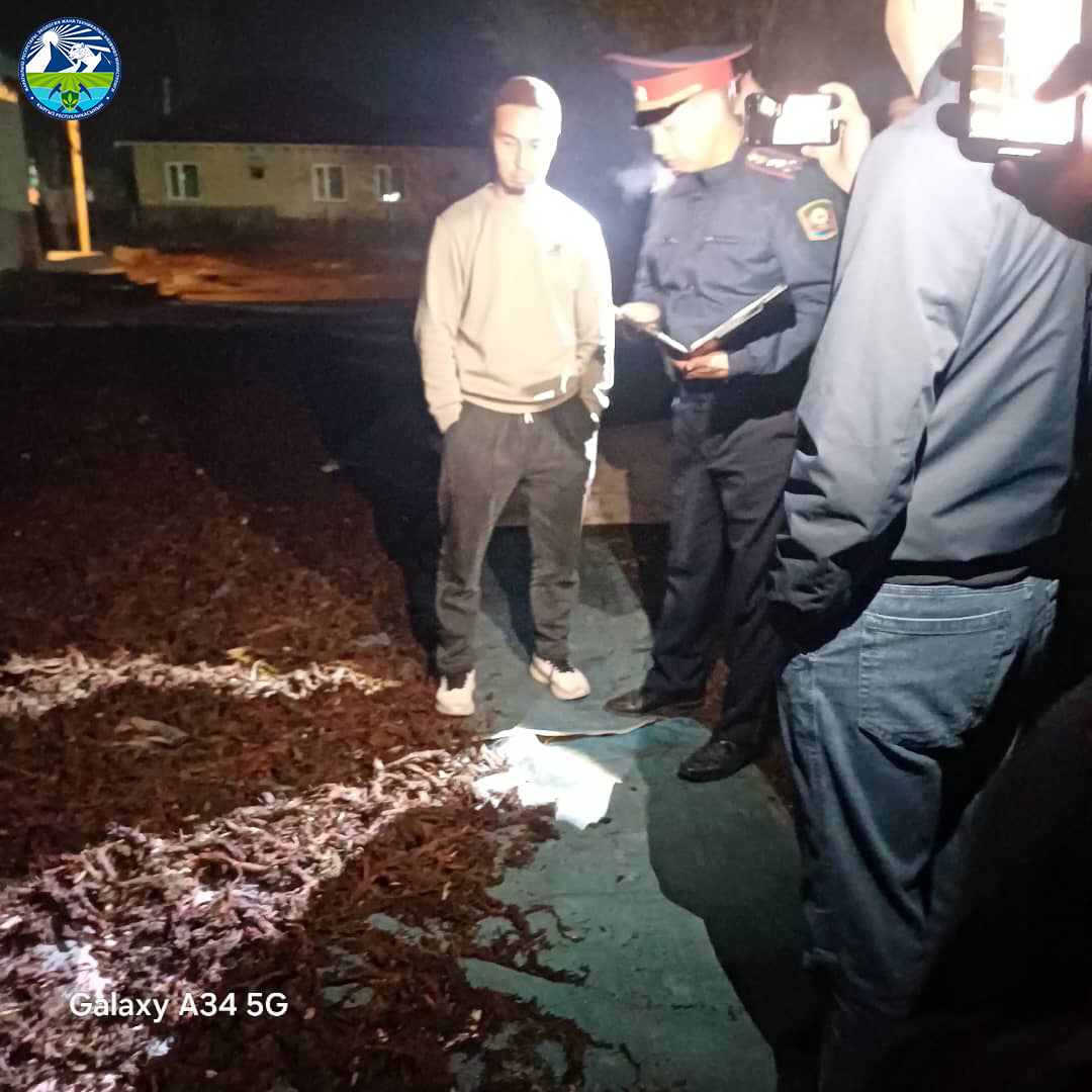 Сокулук районунда мораторийге кирген эндик тамырынын мыйзамсыз жыйналышы аныкталды
