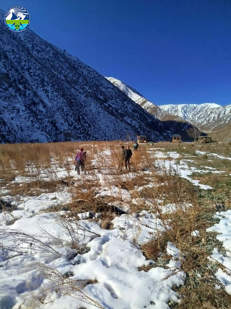 “Саймалуу-Таш” Мамлекеттик Жаратылыш паркында “Жашыл Мурас” улуттук өнүктүрүү программасынын алкагында көчөт отургузуу иш-чарасы жүргүзүлдү