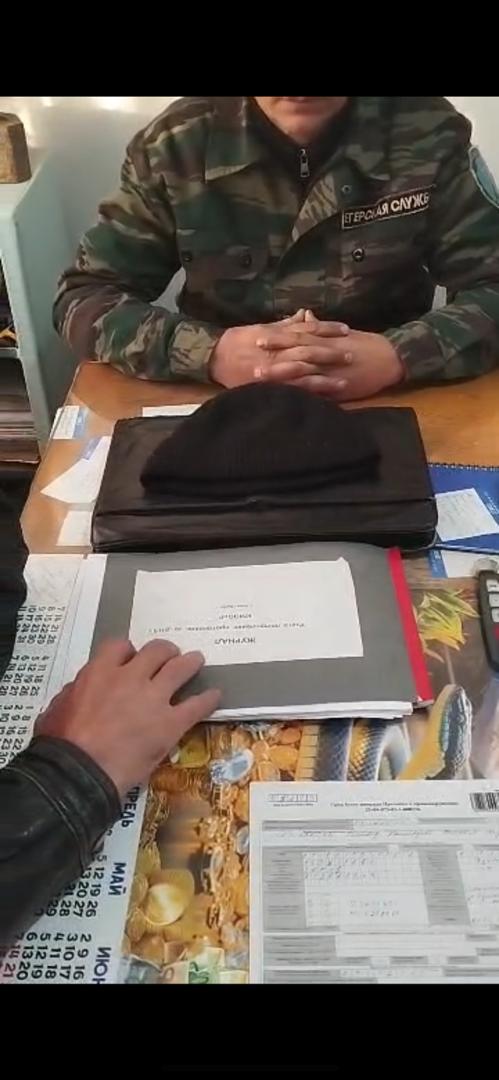 Чүйдөгү рейд