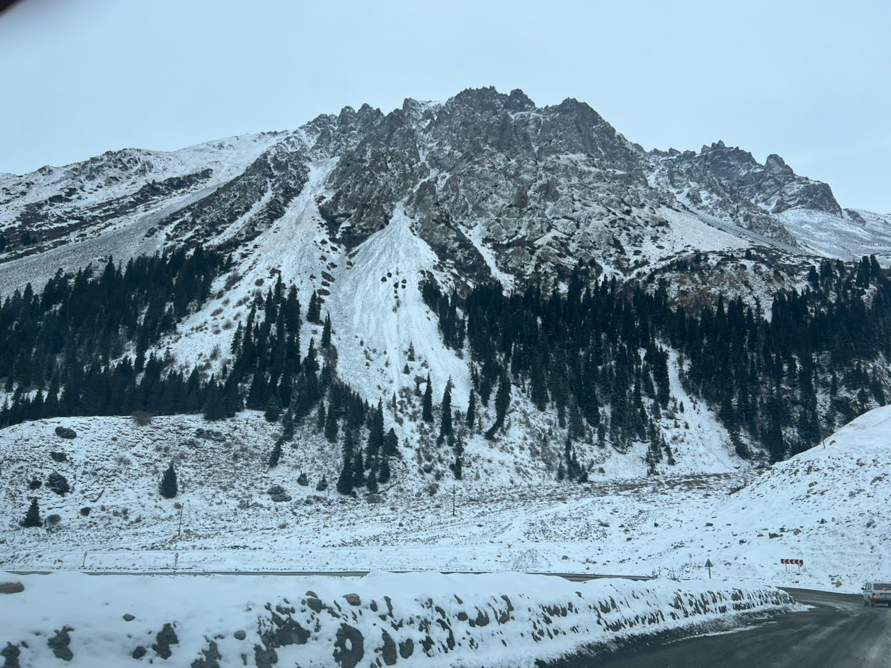 Жапайы туяктуу жаныбарларды (аркар, теке) көзкарандысыз мониторингдөө