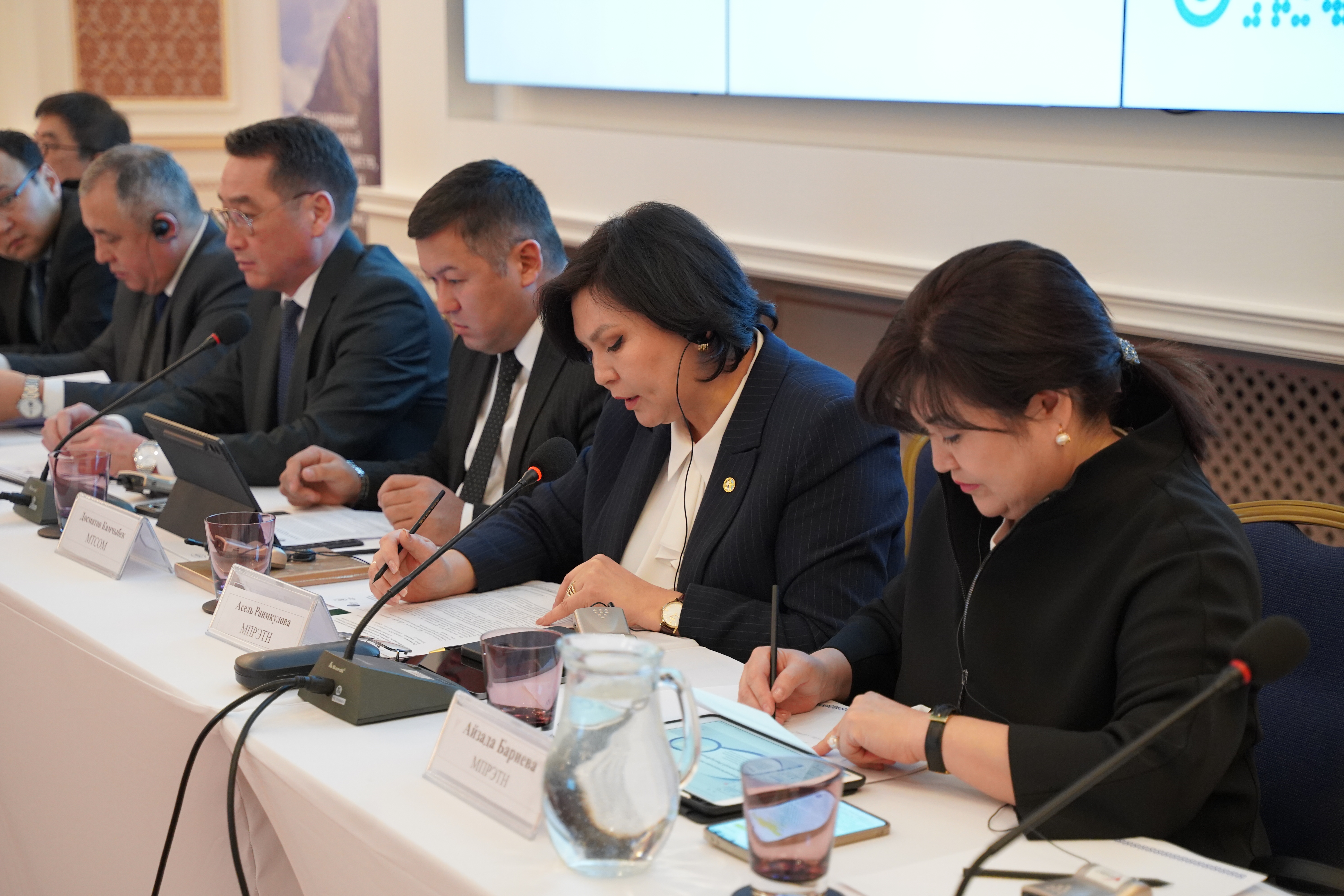 БУУнун ДАП программасынын улуттук жетектөөчү комитетинин жетинчи отуруму Бишкекте өттү