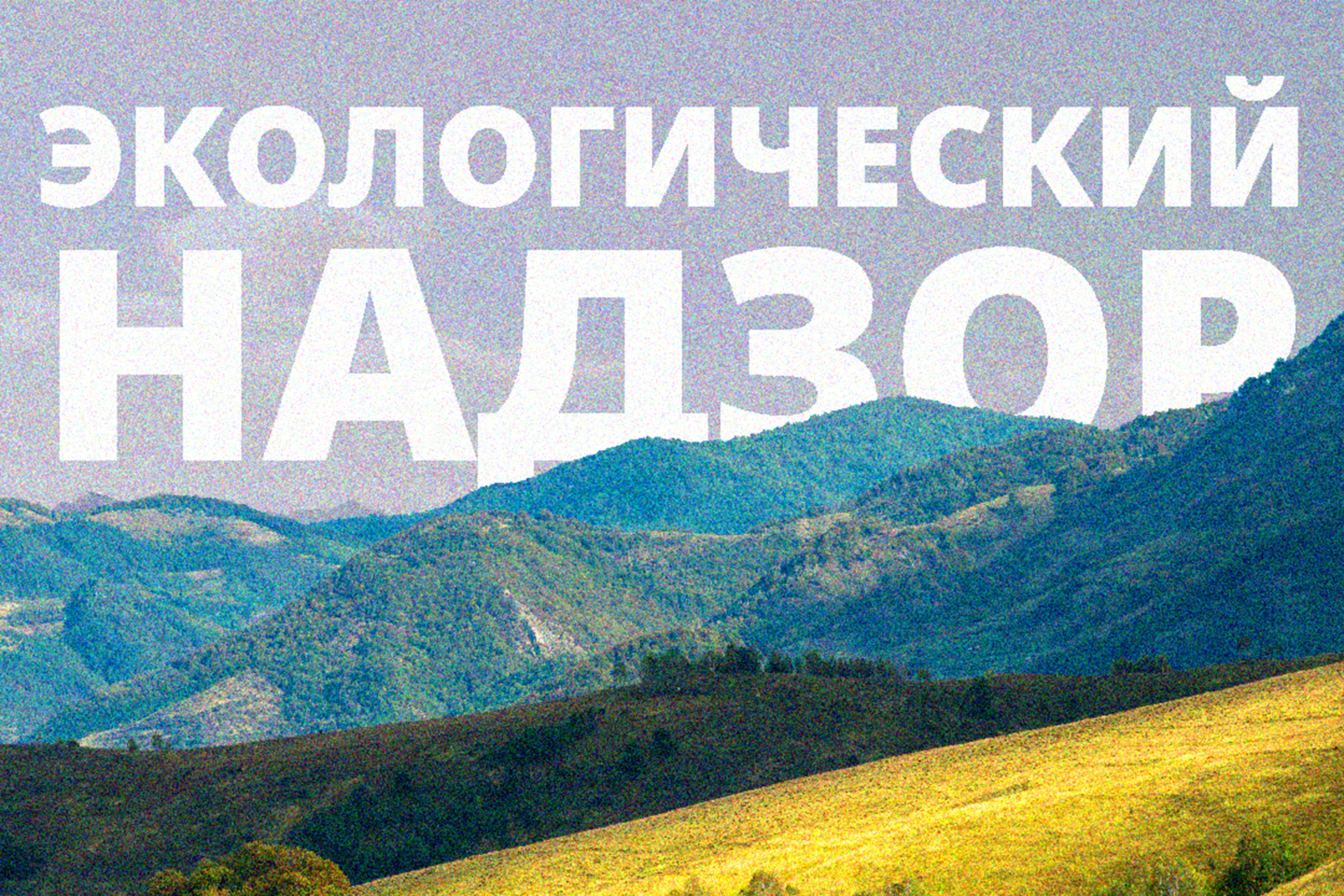 Мыйзамсыз аңчылыкка каршы рейддик иш-чаралар өткөрүлдү