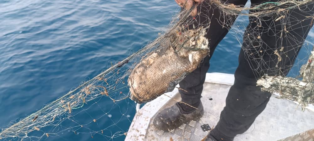 Ысык-Көлдө браконьерликке каршы кезектеги рейд: 300 метр тор алынды