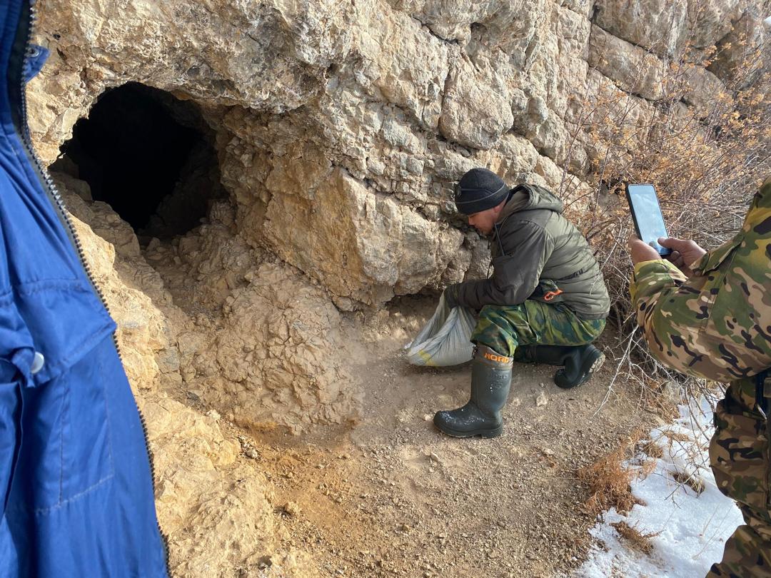 Кыш мезгилинде жапайы жаныбарларга кам көрүү