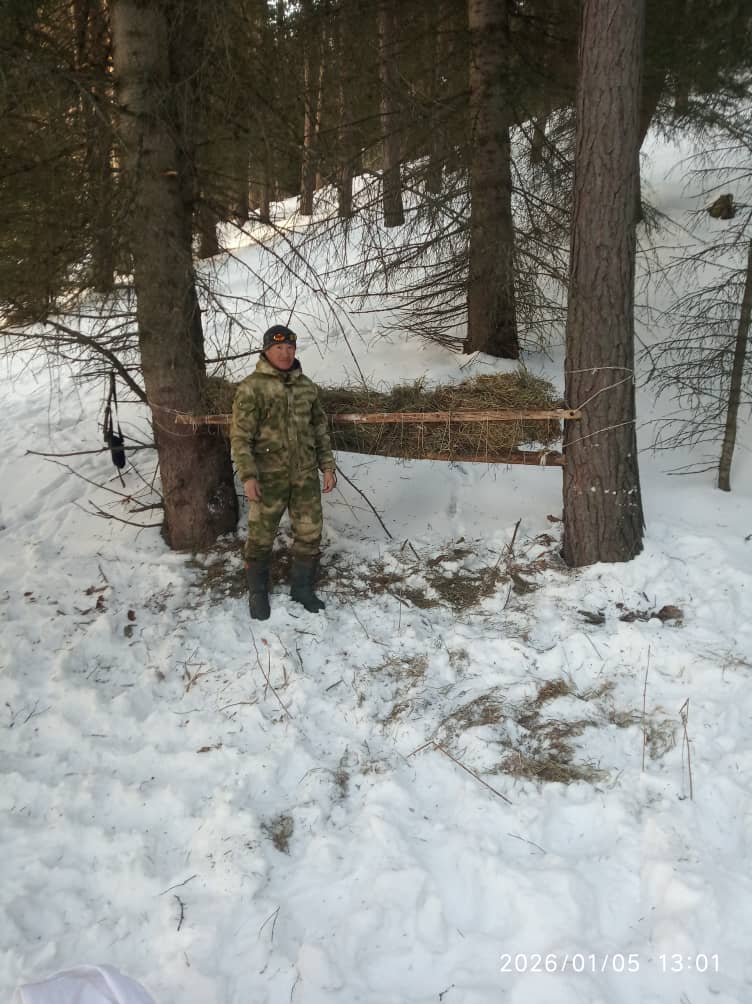 Чоң-Кемин мамлекеттик жаратылыш паркында жапайы жаныбарларды колдоо иштери уланууда
