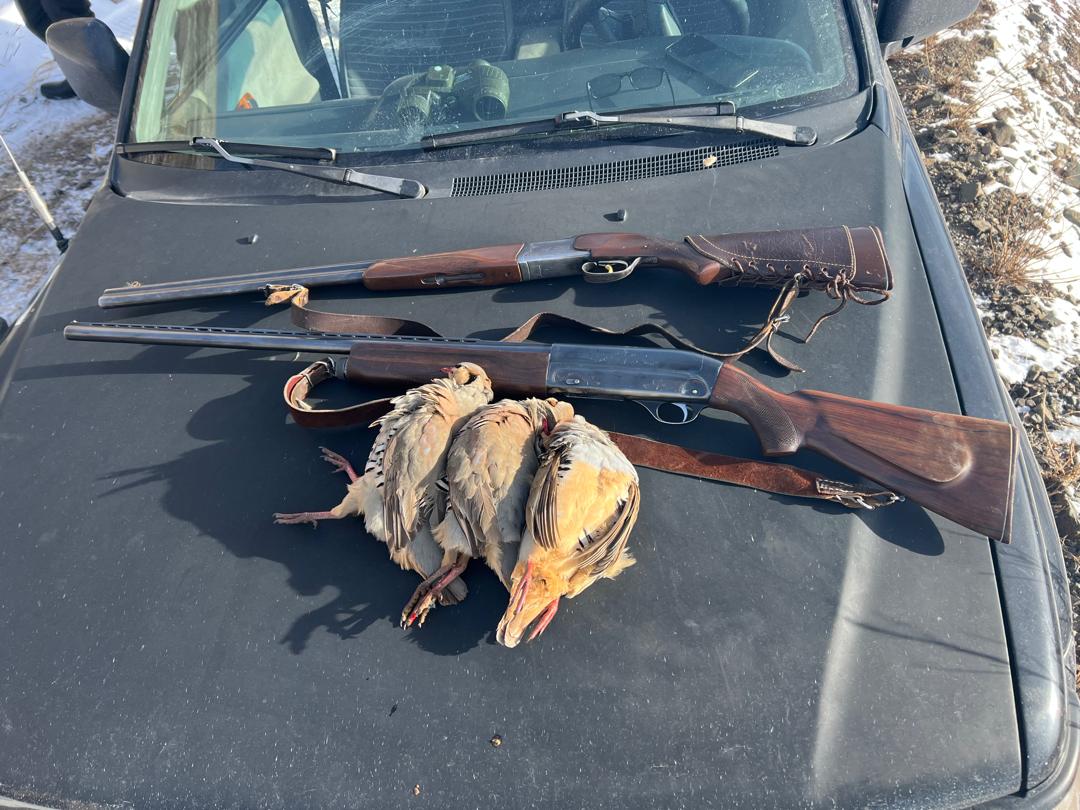 2026-жылдын 23–24-январь күндөрү Кемин районунун аймагында Кыргыз Республикасынын Жаратылыш ресурстары, экология жана техникалык көзөмөл министрлигинин Чүй регионалдык башкармалыгынын Чүй–Кемин райондорунун кызматкерлери НАБУ уюмунун жаратылышты коргоо боюнча «Барс» тобунун кызматкерлери менен биргеликте рейддик иш-чара өткөрүштү.