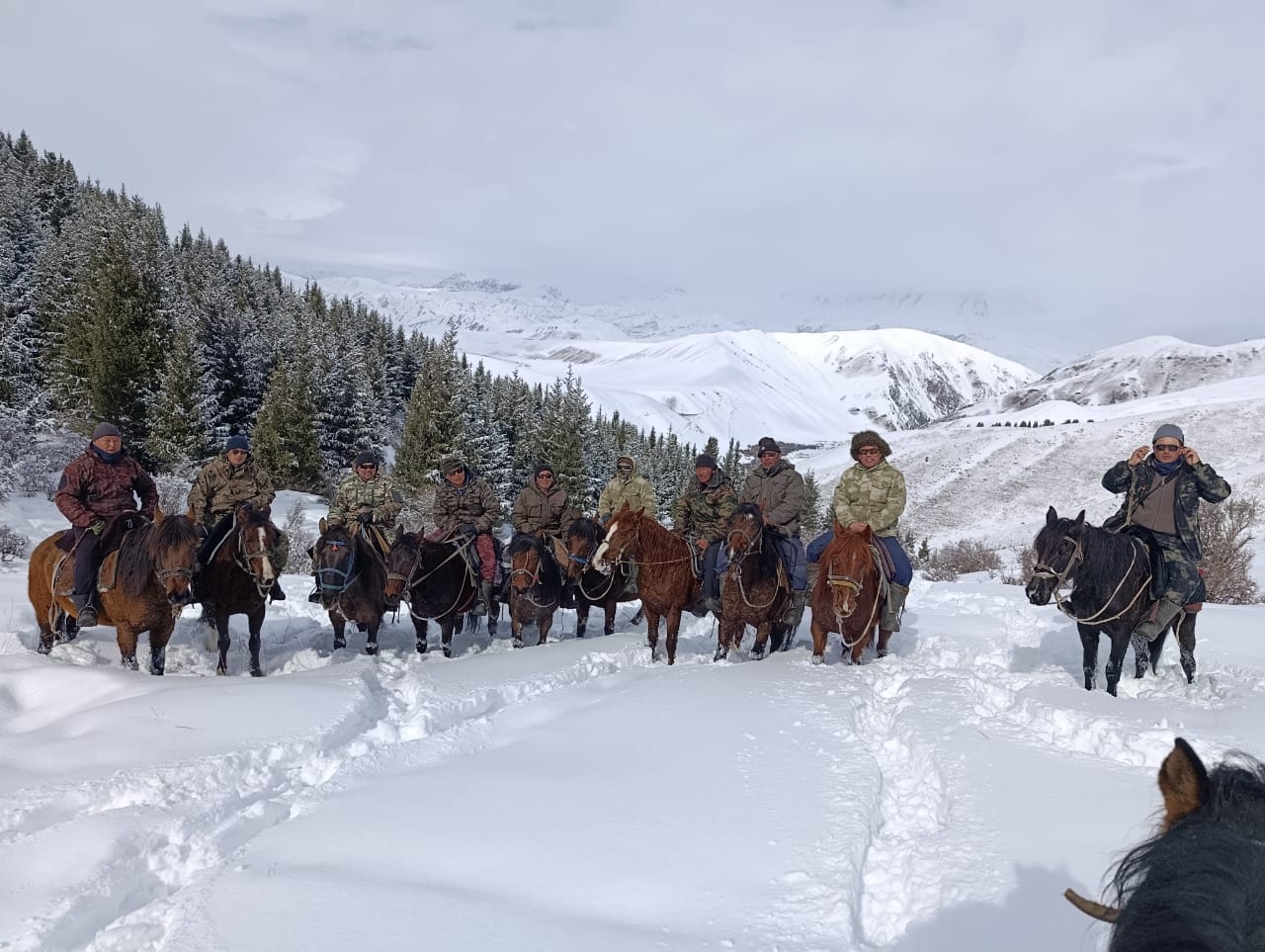 Кыргыз Республикасынын Жаратылыш ресурстары, экология жана техникалык көзөмөл министрлигине караштуу Нарын мамлекеттик жаратылыш коругу аймагында мыйзамсыз аңчылыкка жана жаратылыш ресурстарын мыйзамсыз пайдаланууга каршы рейддик иш-чаралар үзгүлтүксүз жүргүзүлүүдө.