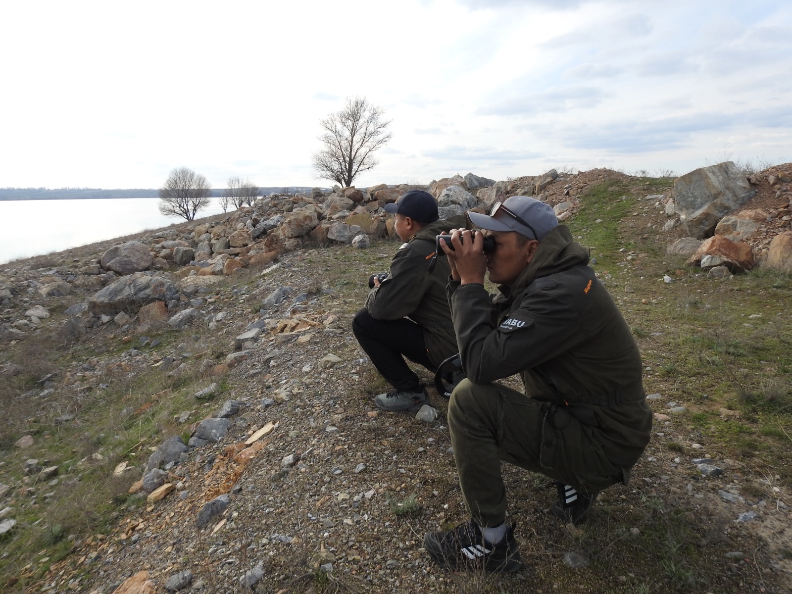 Суу Бүркүттүн өлүмү тууралуу маалымат боюнча текшерүү жүргүзүлдү