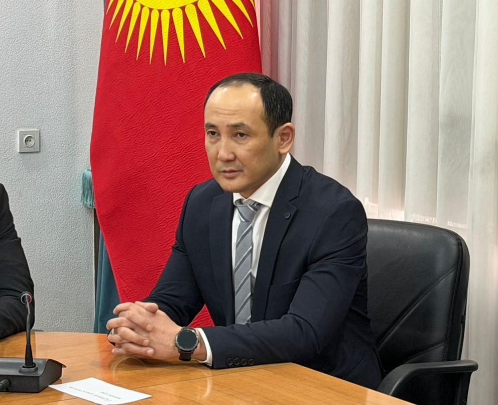 Кыргыз Республикасынын Жаратылыш ресурстары, экология жана техникалык көзөмөл министрлигине биринчи орун басар дайындалды