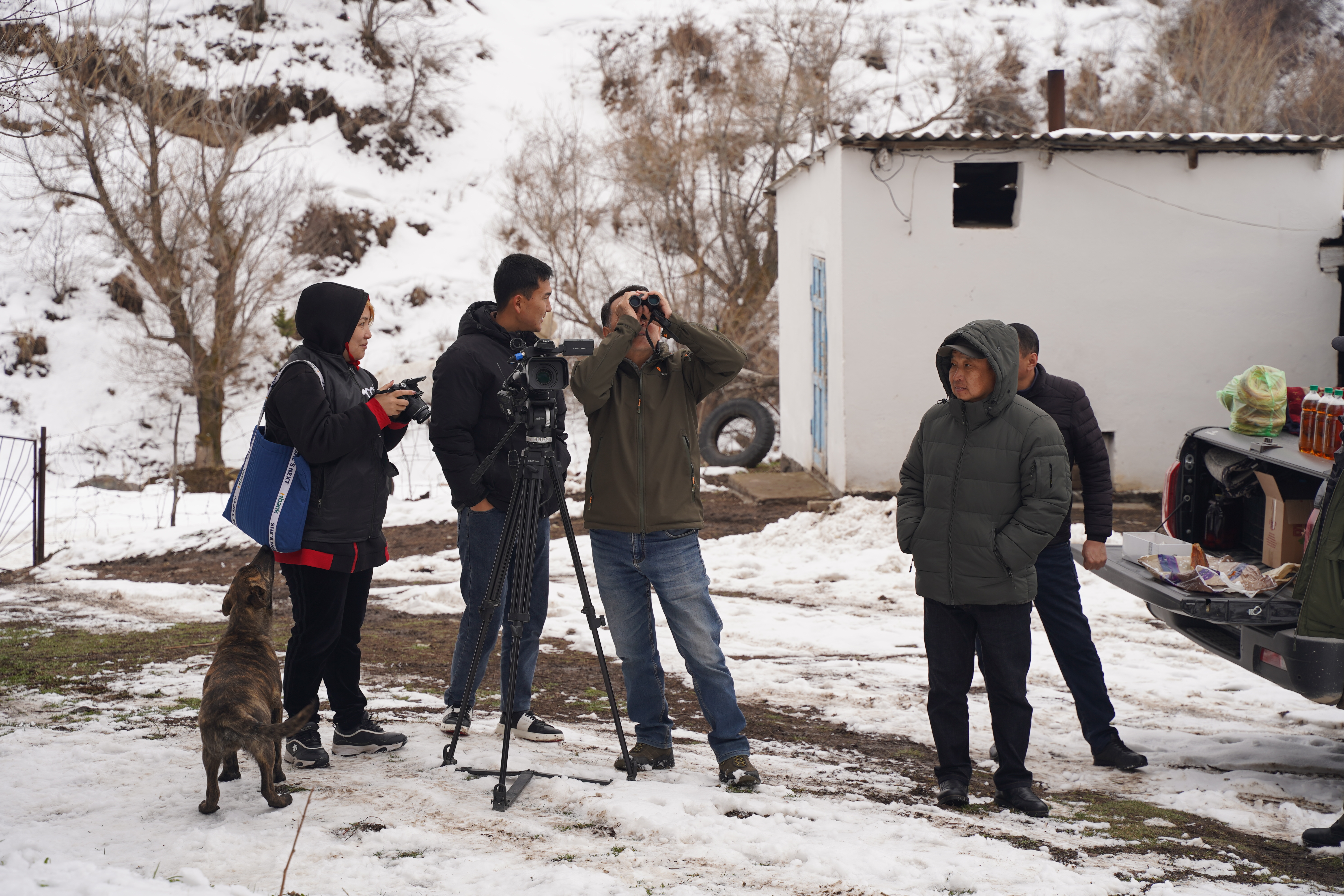 Кекилик жана кыргоолду коргоо багытындагы илимий санитардык иш-чара
