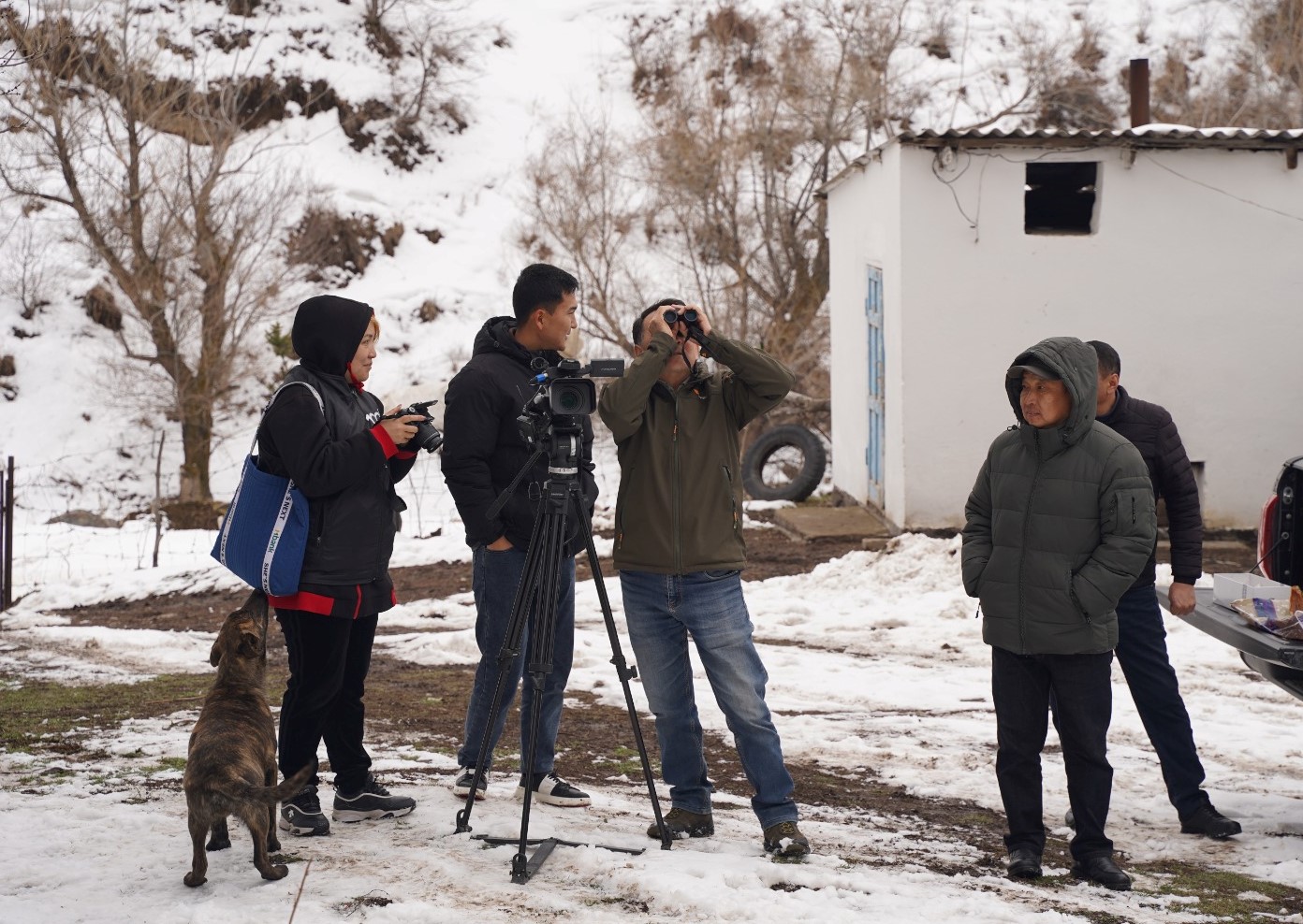Кекилик жана кыргоолду коргоо багытындагы илимий санитардык иш-чара