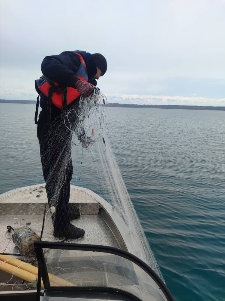 Ысык-Көлдө браконьерликке каршы рейд: 400 метр мыйзамсыз тор алынды