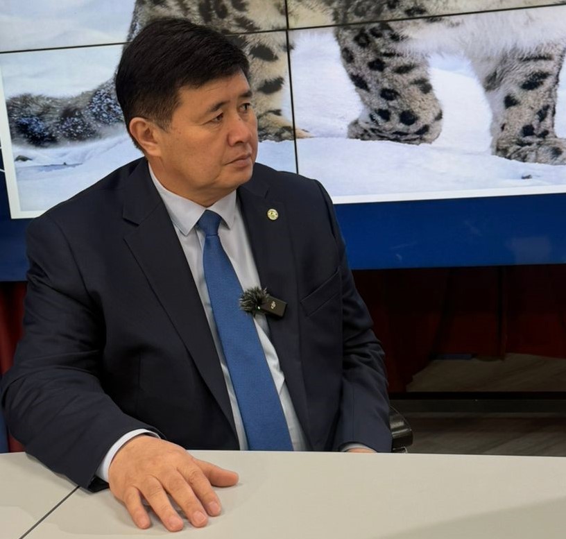 Кыргызстандын экосистемаларын коргоо: министрдин орун басары А. Мусаевдин «Кабар» агенттигине  маек берди