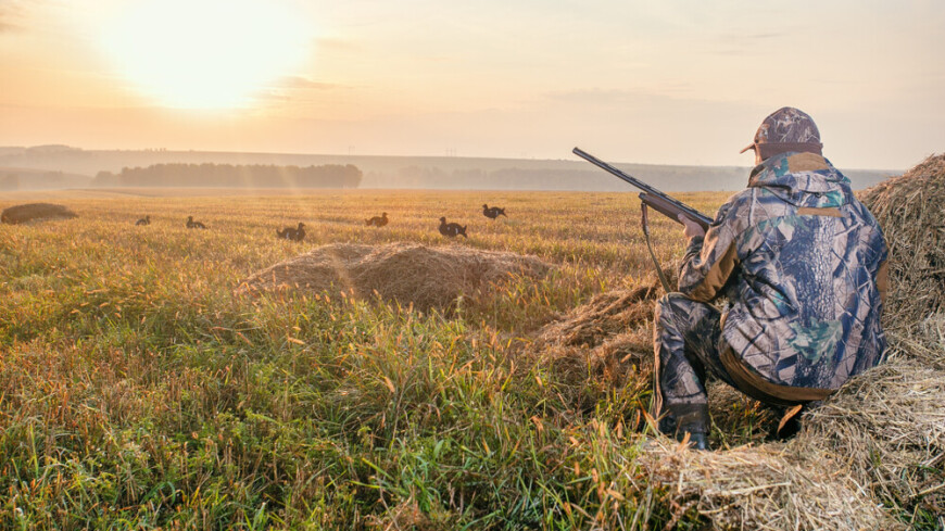 Кыргыз Республикасынын Министрлер Кабинетинин 2025-жылдын 8-августундагы №480 токтому менен бекитилген Жобого
