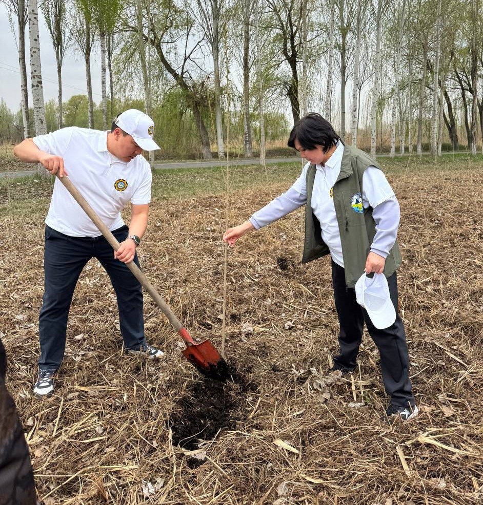 Вклад в «Зеленое наследие»: в Токмоке посажено 2000 саженцев