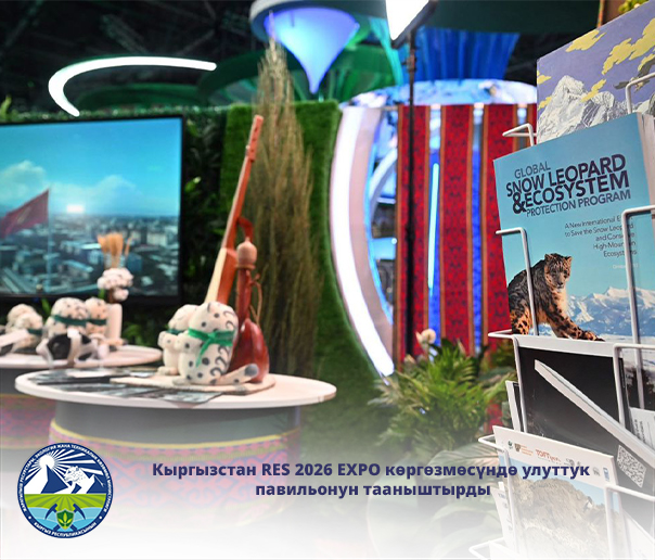 Кыргызстан RES 2026 EXPO көргөзмөсүндө улуттук павильонун тааныштырды