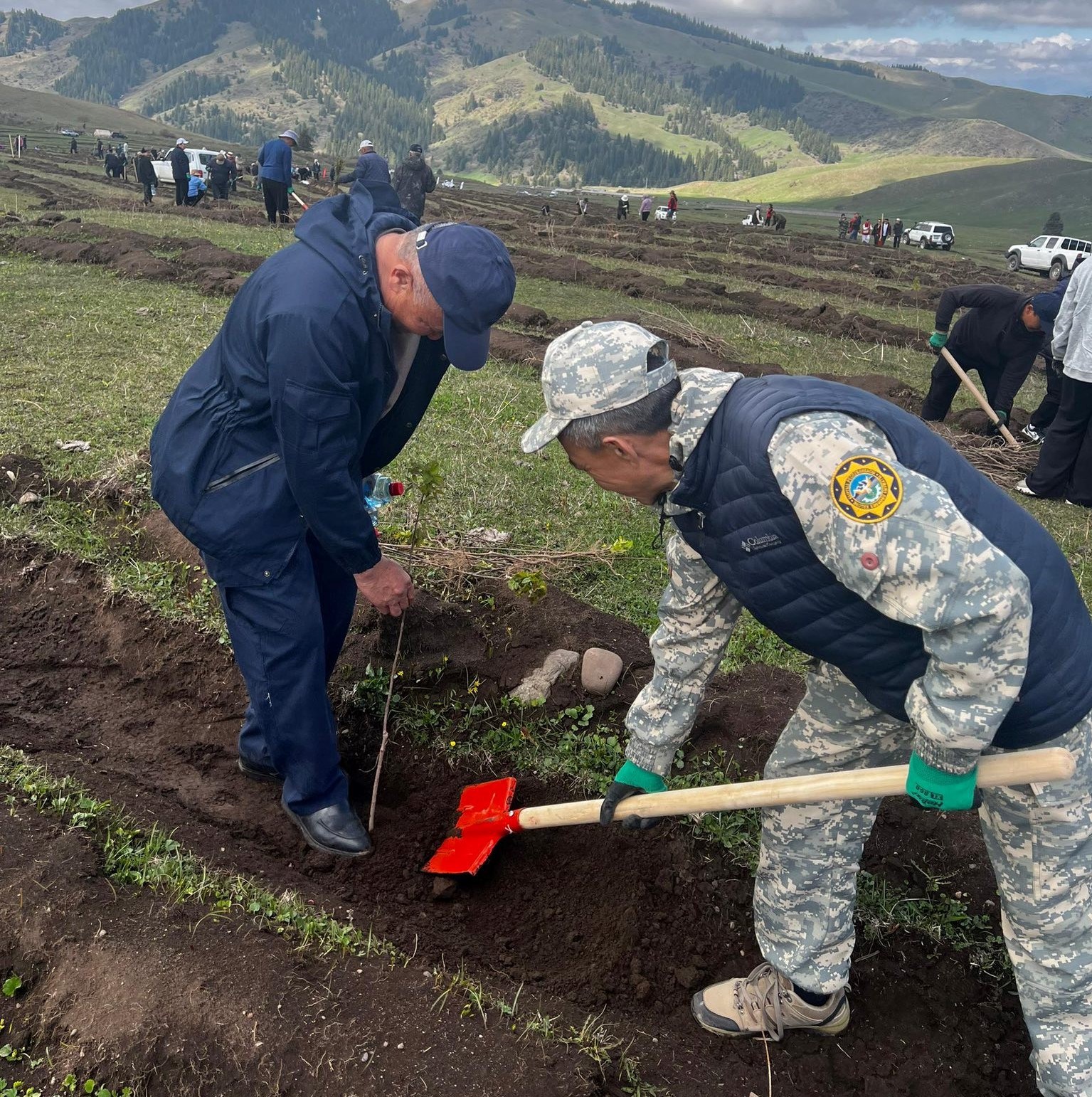 Жашыл келечек: өлкөнүн токой фонду 250 жаңы дарак менен толукталды