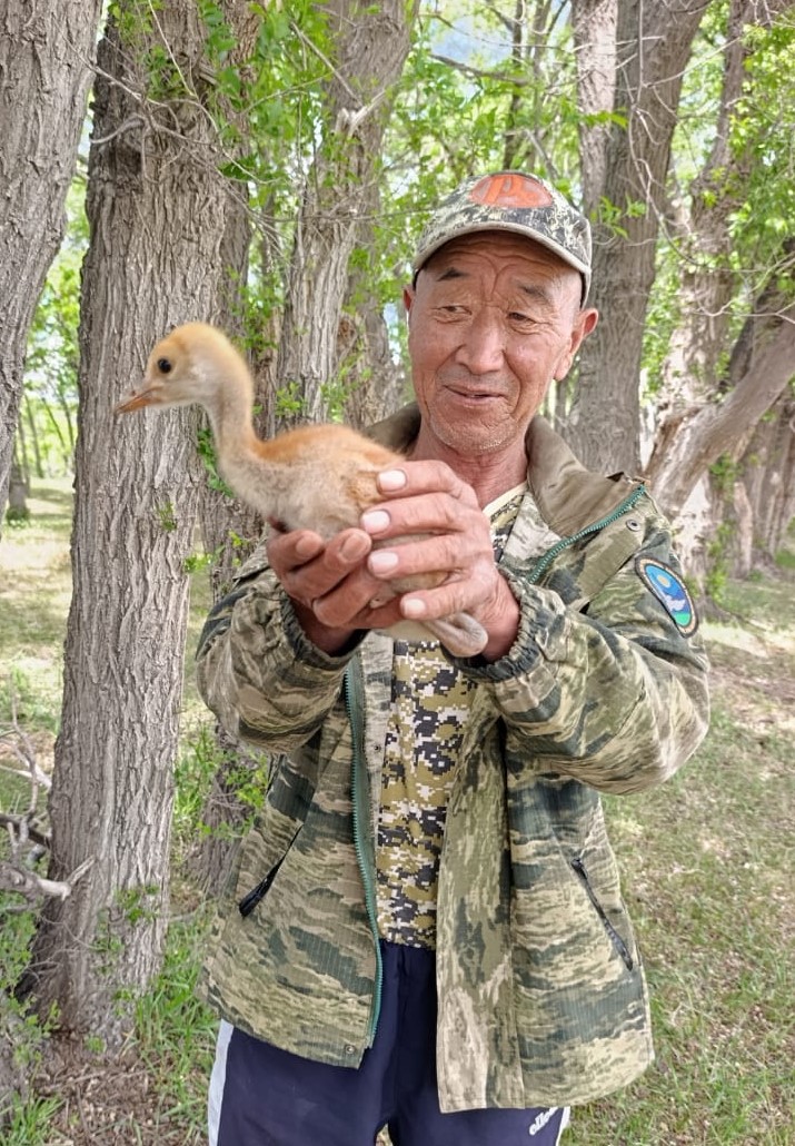 Ысык-Көлдүн тарыхында алгачкы жолу катардагы турнанын биринчи уя салуусу орун алды